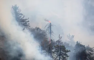 Wildfire smoke rises as the Bobcat Fire burns in the Angeles National Forest near Pasadena, Calif., Sept. 15, 2020.   Ringo Chiu/Shutterstock.