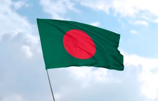 The flag of Bangladesh. Credit: Royal Graphics/Shutterstock.