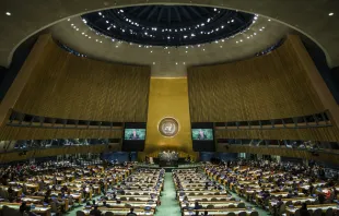 The United Nations General Assembly in New York. Drop of Light/Shutterstock.