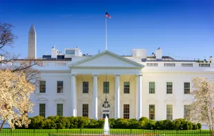 The White House, Washington, DC.   Sean Pavone/Shutterstock
