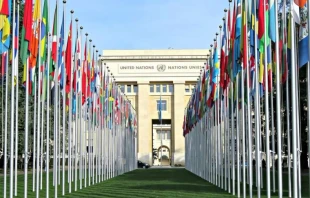 United Nations Offices in Geneva, Switzerland, home of the UNHRC.   Sonia Alves-Polidori / Shutterstock