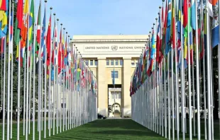 United Nations Offices in Geneva, Switzerland, home of the UNHRC.   Sonia Alves-Polidori/Shutterstock