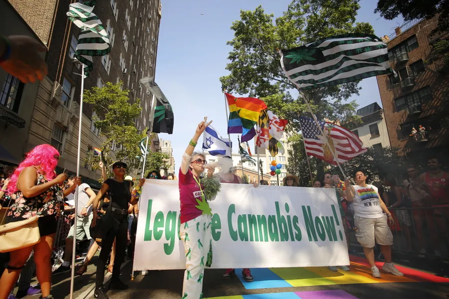 Demonstrators for the legalization of cannabis march in the New York Pride Parade, June 2016. ?w=200&h=150