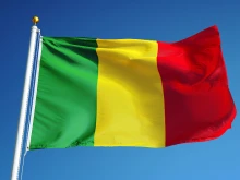 The flag of Mali.