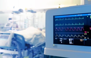 Stock photo. Via Shutterstock.