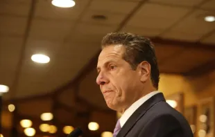 New York Gov. Andrew Cuomo, pictured in 2016.   a kat/Shutterstock