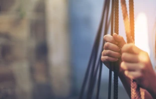 Stock Image via Shutterstock.