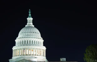 US Capitol building at night. Stock photo/Shutterstock