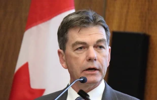 David Anderson MP.   Art Babych / Shutterstock