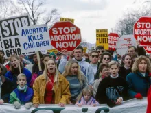 Participants in the annual March for Life in Washington, D.C. 