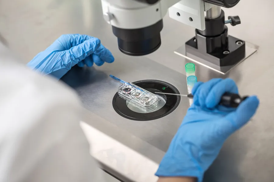 Technician does control check of the in vitro fertilization process using a microscope. Via Shutterstock?w=200&h=150