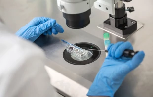 Technician does control check of the in vitro fertilization process using a microscope. Via Shutterstock