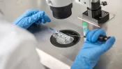 Technician does control check of the in vitro fertilization process using a microscope.
