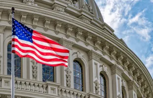 US Capitol dome with flag.   Andrea Izzotti/Shutterstock