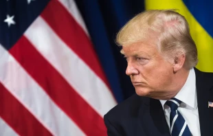 President Donald Trump in 2017. Credit: DropOfLight/Shutterstock