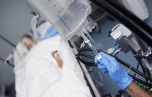 Stock image via Shutterstock