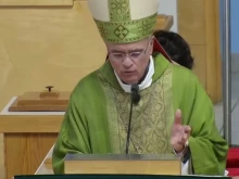 Auxiliary Bishop Silvio Báez of Managua, Nicaragua.