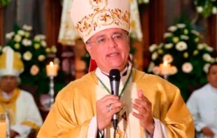 Bishop Silvio Báez, auxiliary bishop of Managua, Nicaragua. Credit: Courtesy of Archdiocese of Managua