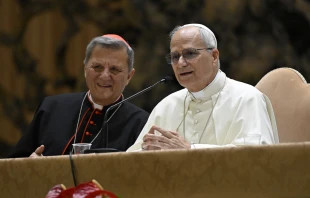 Pope Leo XIV sits next to Cardinal Mario Grech, general secretary of the Vatican’s synod office, during the Jubilee of Synodal Teams and Participatory Bodies in the Vatican’s Paul VI Hall on Oct. 24, 2025. Credit: Vatican Media
