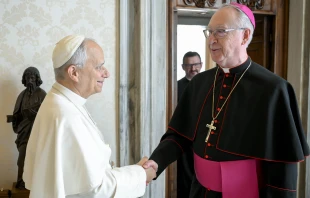 Pope Leo XIV greets Vancouver Archbishop Richard Smith at the Vatican, Saturday, Nov. 15, 2025. Credit: Vatican Media