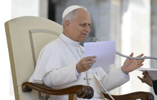 Pope Leo XIV addresses thousands of Church and civil lawyers, judges, and others who work in the legal environment during the Jubilee of Workers of Justice, part of the yearlong Jubilee of Hope, in St. Peter’s Square on Sept. 20, 2025. Credit: Vatican Media
