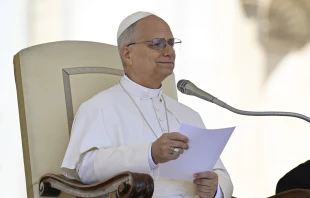 Pope Leo XIV appeals for help for Sudan during his Wednesday general audience in St. Peter’s Square on Sept. 3, 2025. Credit: Vatican Media