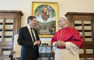 Pope Leo XIV meets with Israel President Isaac Herzog in a private audience at the Vatican on Sept. 4, 2025. Credit: Vatican Media