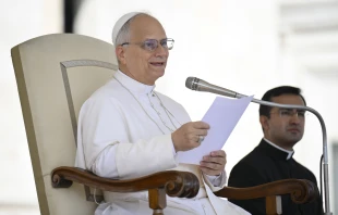 Pope Leo XIV addresses pilgrims at his weekly general audience in St. Peter’s Square at the Vatican on Sept. 17, 2025. Credit: Vatican Media