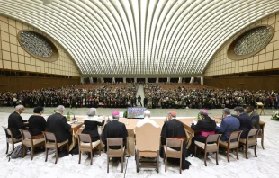 Pope Leo XIV listens to reports from seven representatives around the world about the implementation of synodality on their continents during the jubilee of synodal teams and participatory bodies at the Vatican on Oct. 24, 2025. Credit: Vatican Media