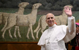 Pope Leo XIV waves to those gathered at the Pontifical Lateran University in Rome on Nov. 14, 2025. Credit: Vatican Media