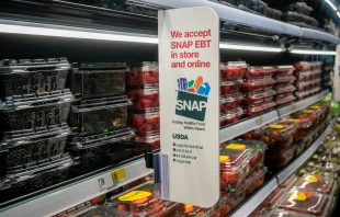 As government-funded food assistance program such as SNAP and WIC are about to lose funding Nov. 1, 2025, due to the government shutdown, Catholic Charities USA is stepping in to help needy Americans. Credit: rblfmr/Shutterstock