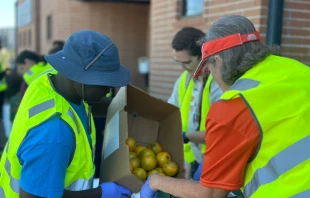 Volunteers prepare and distribute food to families coming through the drive-through distribution site at the Catholic Charities Diocese of Galveston-Houston Guadalupe Center, a food pantry near central Houston. Credit: Photo courtesy of Catholic Charities of the Archdiocese of Galveston-Houston