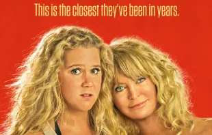 Official movie poster for "Snatched" /   20th Century Fox