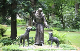 St. Francis made peace with a wolf and befriended other animals, according to legend. Credit: Purplexsu/Shutterstock