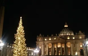 Dec. 7, 2018, Vatican City - St. Peter's Square with the newly illuminated Christmas tree.   Courtney Grogan/CNA