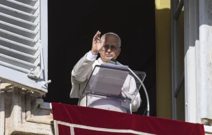 Pope Leo XIV addresses pilgrims gathered in St. Peter's Square at the Vatican for the Angelus on December 7, 2025. Vatican Media