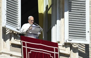 Pope Leo XIV addresses pilgrims in St. Peter’s Square at the Vatican on Nov. 9, 2025. Credit: Vatican Media