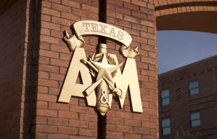 null Credit: University of College/Shutterstock