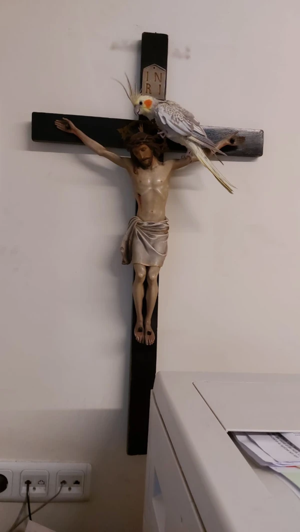 The crucifix that Father Nicola Masedu said he once presented to Pope Francis. It originally belonged to the Sisters of Charity. “That crucifix has a history of prayer and protection,” he told ACI MENA, adding a personal memory: “It was a point of reference for Kamila, our little parrot, who — whenever she was frightened — would fly into my office and take refuge near it.” Courtesy of Father Nicola Masedu