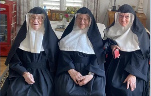 Three Augustinian nuns (pictured on Sept. 16, 2025) fled their nursing home and returned to their convent in Austria. Credit: Photo courtesy Nonnen_Goldenstein