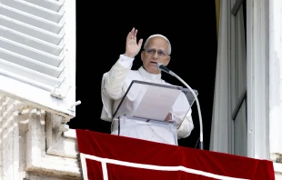 Pope Leo XIV at the Vatican on Sept. 14, 2025. Credit: Vatican Media
