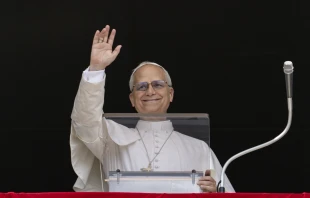 Pope Leo XIV in his Sunday Angelus on Aug. 10, 2025, urged the faithful to reflect on how they invest the “treasure” that is their life. Credit: Vatican Media