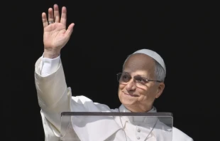 Pope Leo XIV greets pilgrims gathered in St. Peter’s Square at the Vatican for the Angelus on Dec. 14, 2025. Credit: Vatican Media