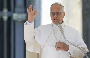 Pope Leo XIV blesses those gathered in St. Peter’s Square at the Vatican on Nov. 5, 2025. Credit: Vatican Media