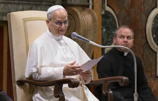 Pope Leo XIV on July 25, 2025, addresses priests belonging to the Society of St. Xavier and participants of a monthlong seminary formators course at the Pontifical Athenaeum Regina Apostolorum at the Vatican. Credit: Vatican Media