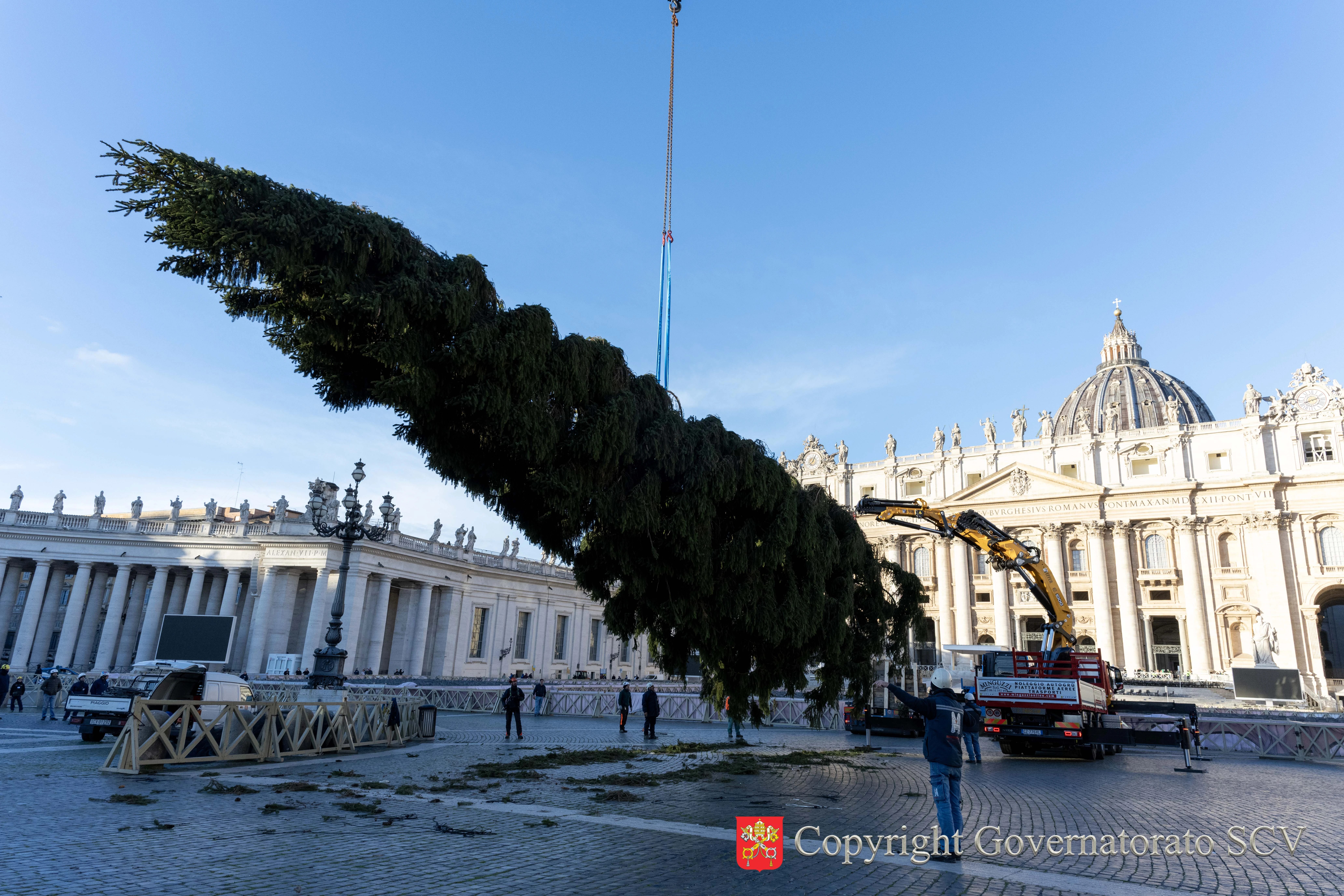 Vatican's 2025 Christmas tree installed in St. Peter's Square