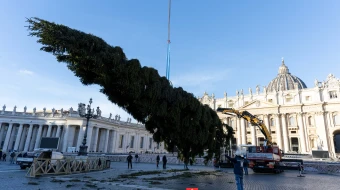 Workers erect the Vatican's 2025 Christmas tree in St. Peter's Square on Thursday, Nov. 27, 2025