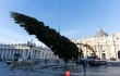 Workers erect the Vatican's 2025 Christmas tree in St. Peter's Square on Thursday, Nov. 27, 2025