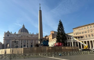 The fir tree and the Nativity scene are ready for the dedication in St. Peter’s Square on Dec. 15, 2025. Credit: Victoria Cardiel/EWTN News