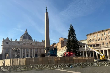 Vatican nativity fir tree